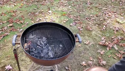 Position the turkey on the grill grate and close the lid.