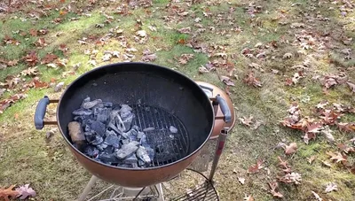 Position the turkey on the grill grate and close the lid.