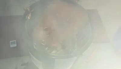 First check (around 2 hours): Spritz brisket with apple juice and apple cider vinegar mixture if needed. Observe bark development.