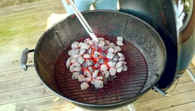 Add smoke wood (optional).