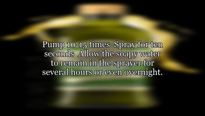 Let the soapy water sit for several hours or overnight.