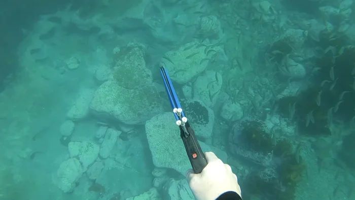 Butterfly the mackerel to determine its dimensions for the grilling basket. (Instructions on how to butterfly a mackerel are linked in a previous video).