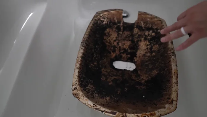 Clean the heating element (if removed) with Dawn and let it soak for 10-15 minutes; scrub and rinse.