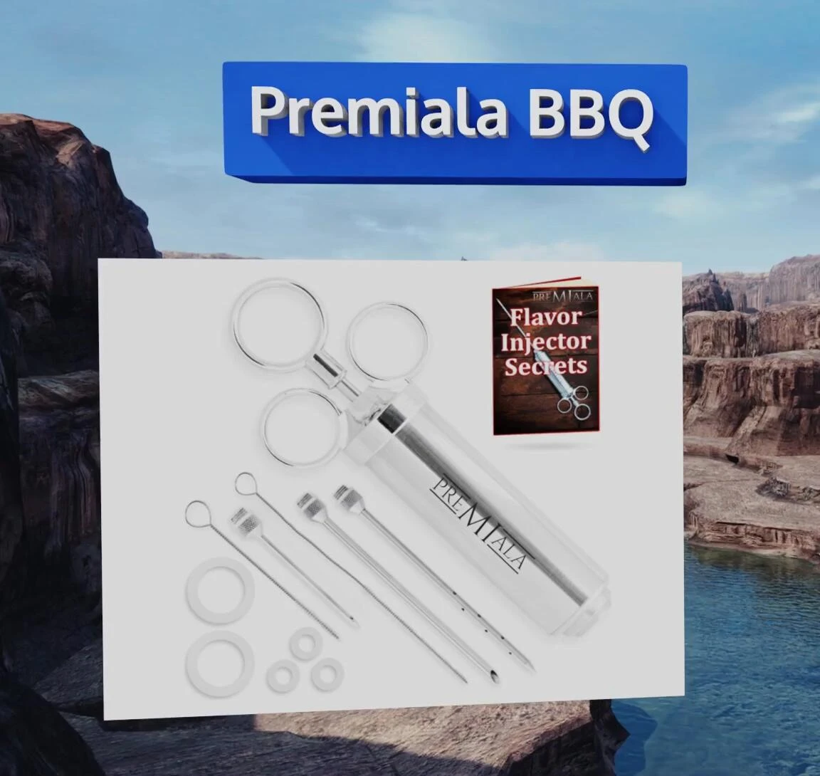 Premier BBQ injector with needles and ebook