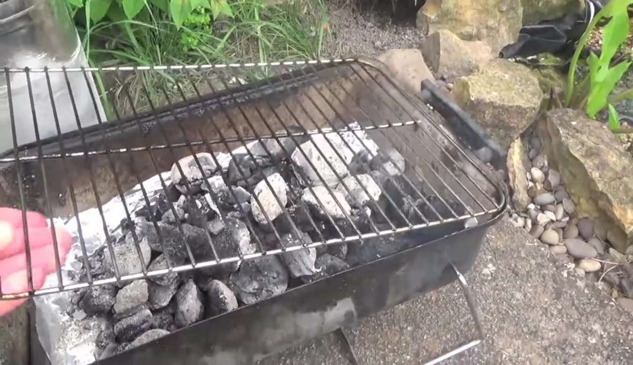 Charcoal briquettes on a grill