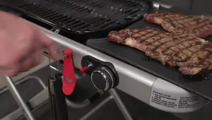 Weber Traveler Portable Gas Grill Review: Is it the Best?