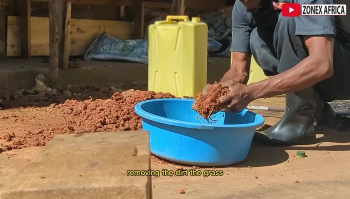 Clean and sort the anill soil, removing impurities like dirt, grass, and plastic.