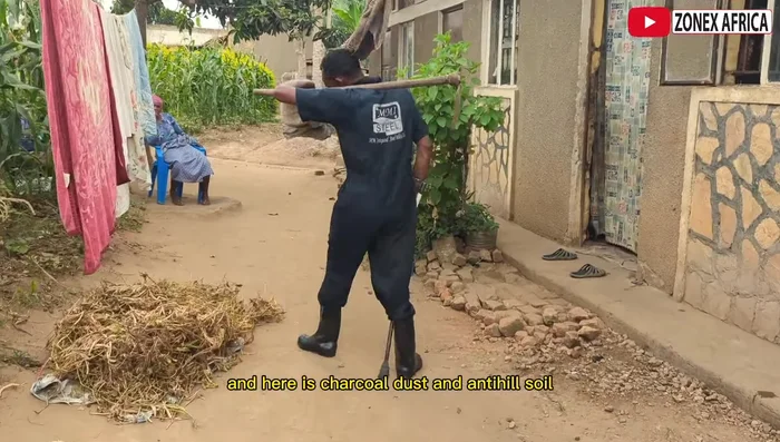 Clean and sort the anill soil, removing impurities like dirt, grass, and plastic.