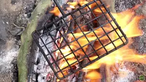 Campfire Grills, Grates & Fire Anchors: A Comprehensive Review