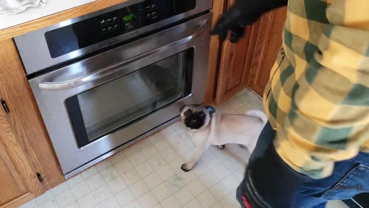 User removing a hot dish from the oven