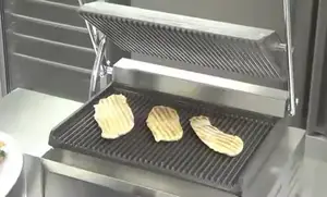 Stainless Steel Panini Grill: A Versatile Kitchen Essential