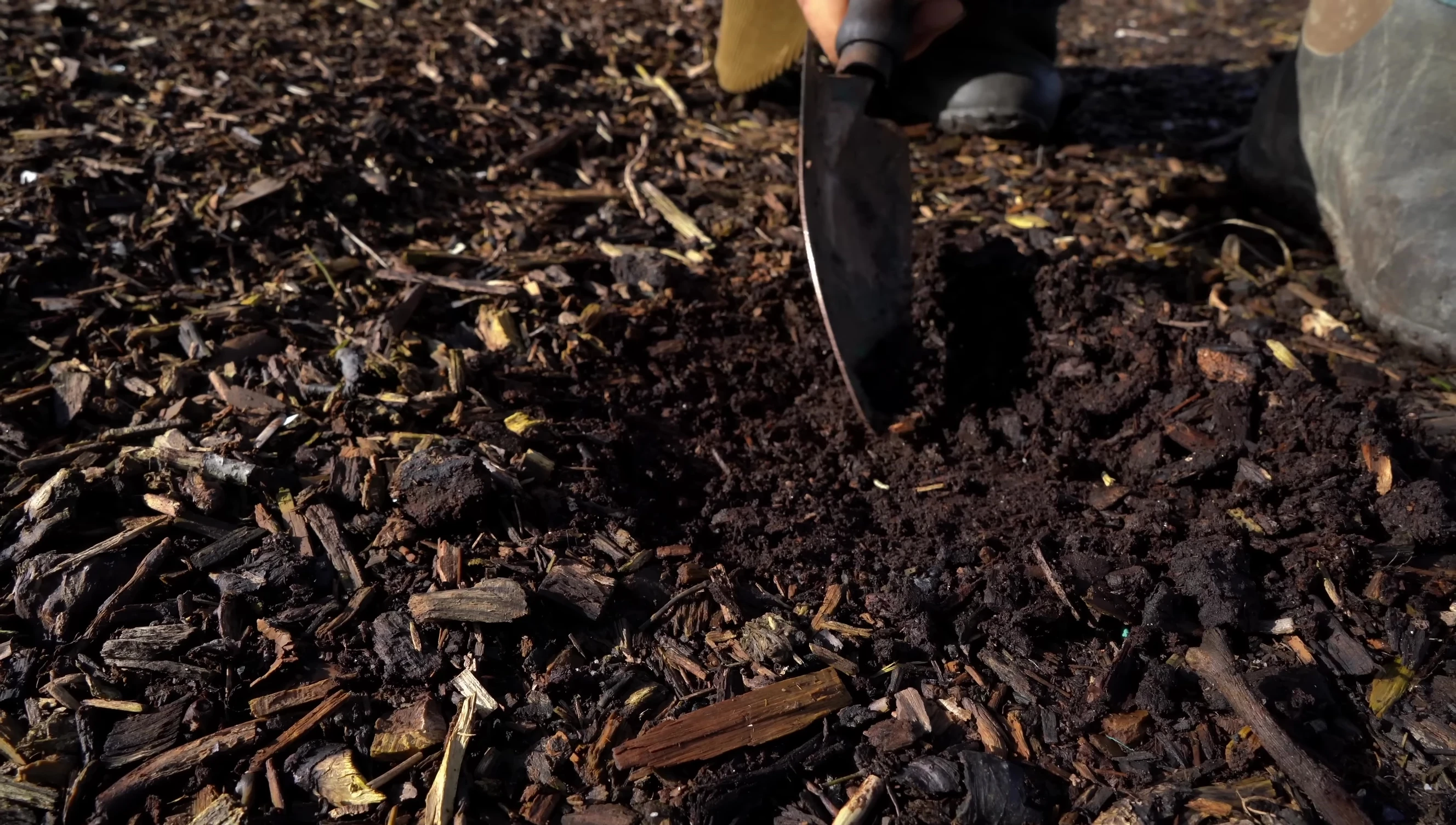 A garden path made from decomposed wood chips.
