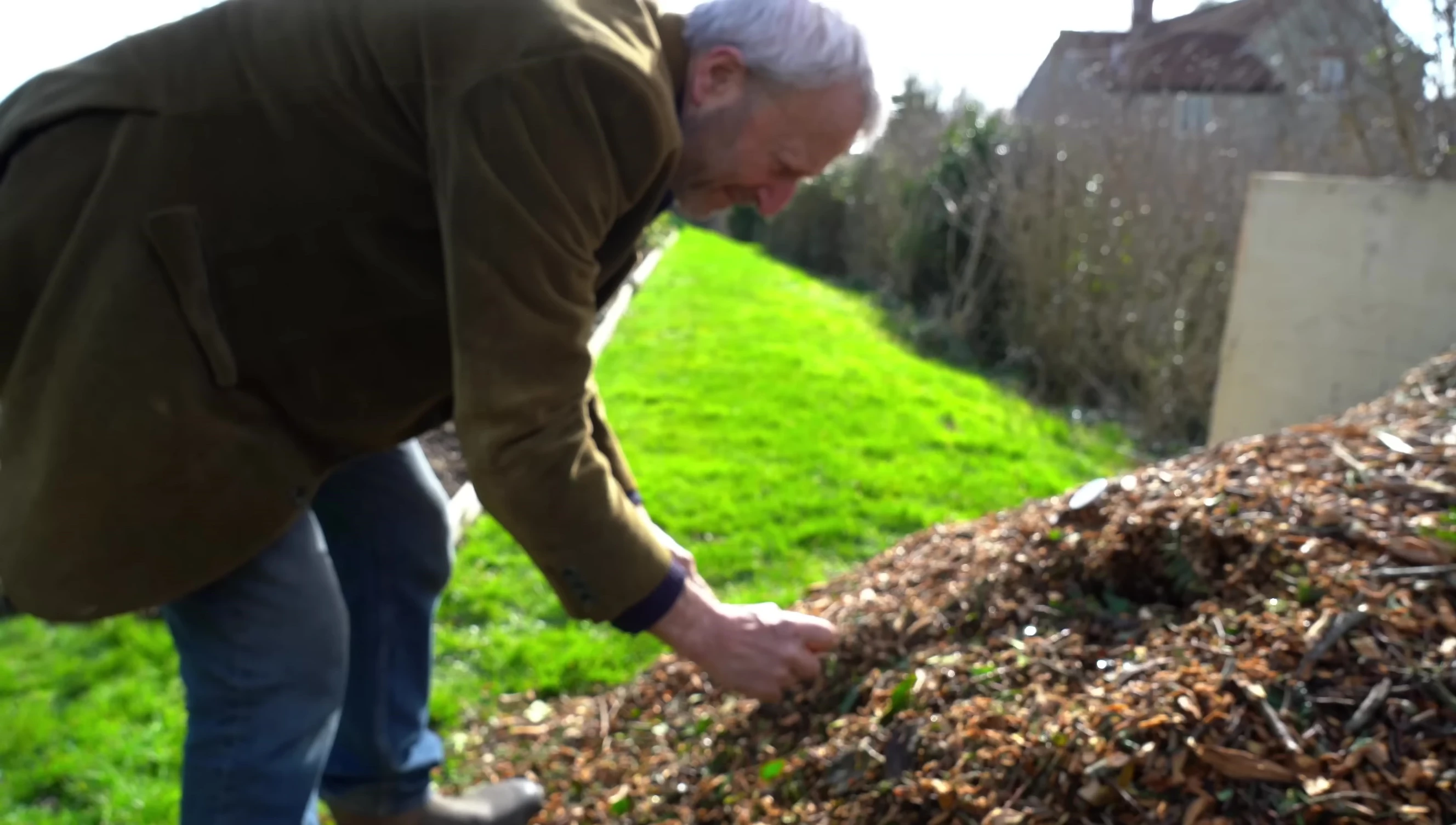 Close up of a wood chip heap that includes green material.