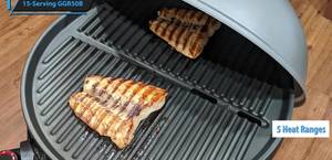 Top 5 Best Electric Grills of 2020: A Comprehensive Review