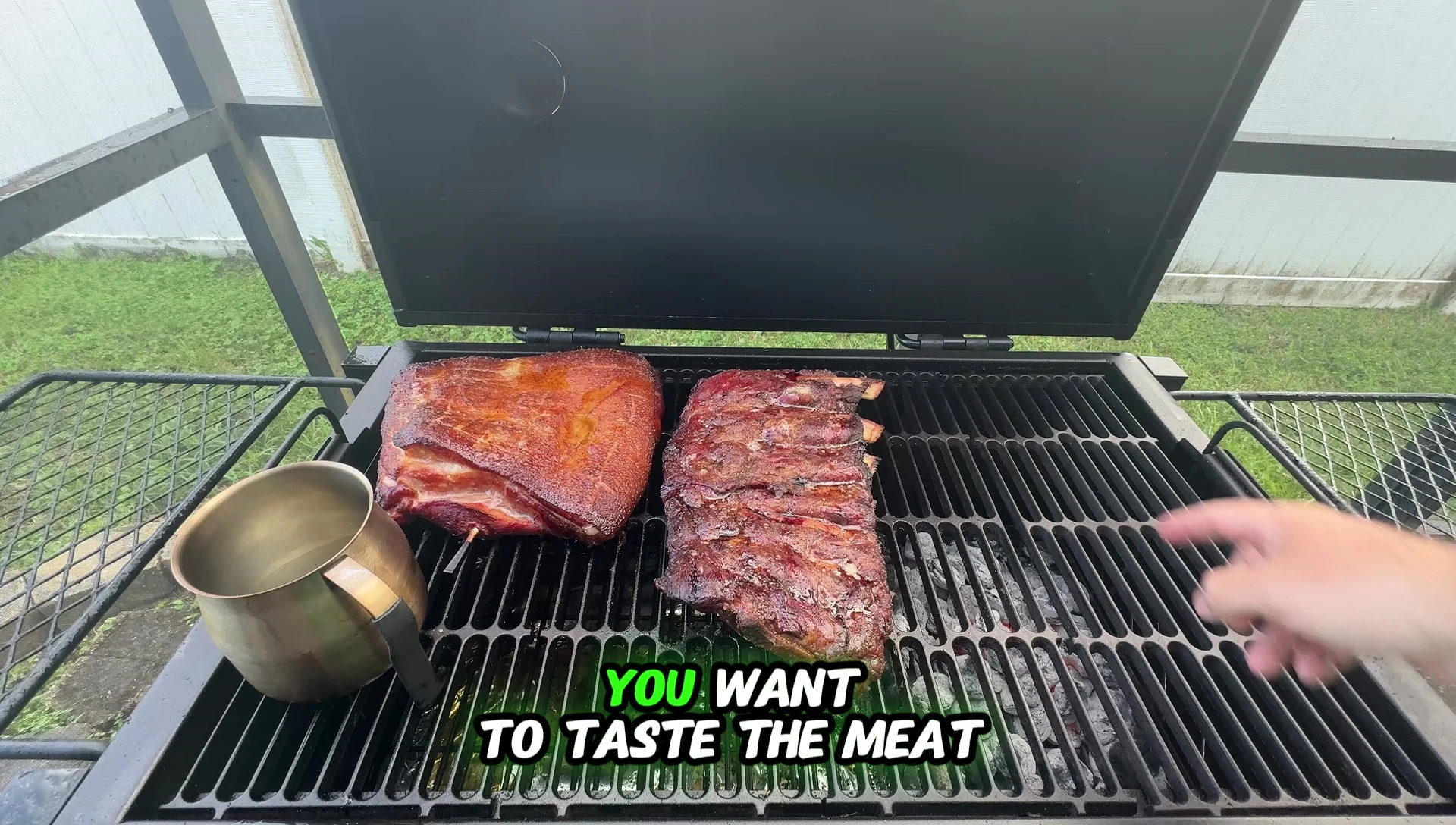 Shot of backyard-style ribs, showcasing their natural color and texture