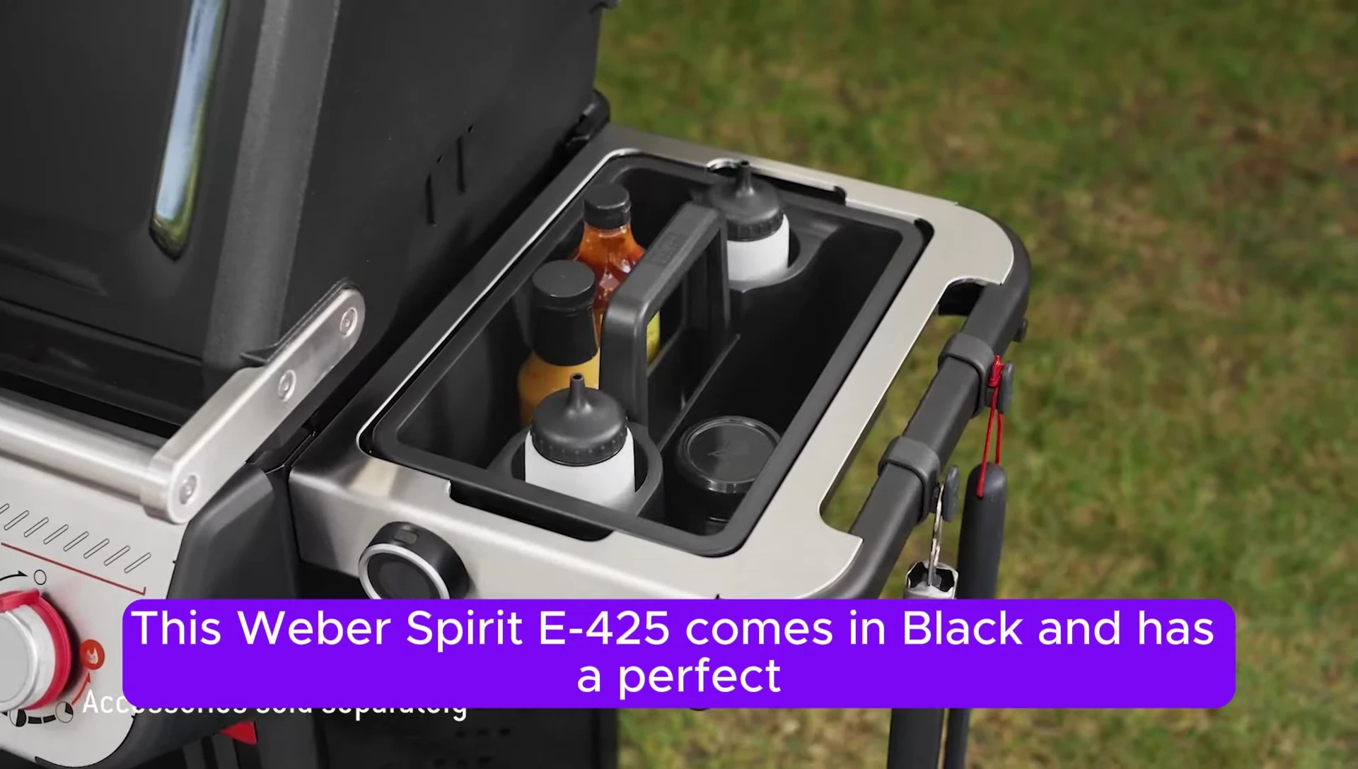 Overall shot of the Weber Spirit E-425 grill.