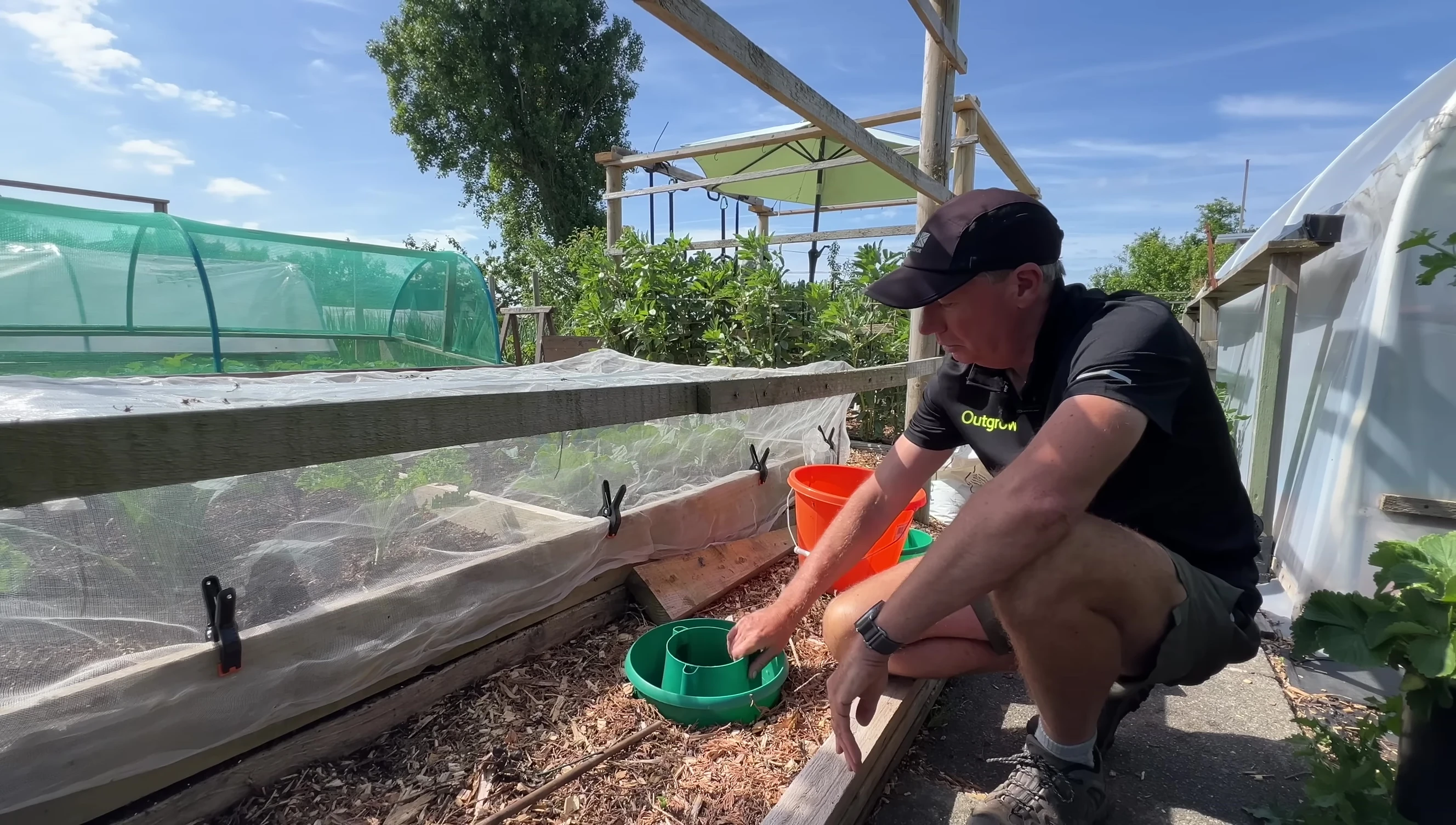 View of the prepared planting area with wood chip mulch