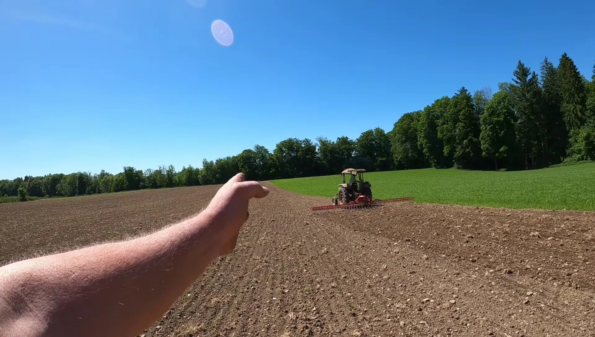 Slightly diagonal seed rows.