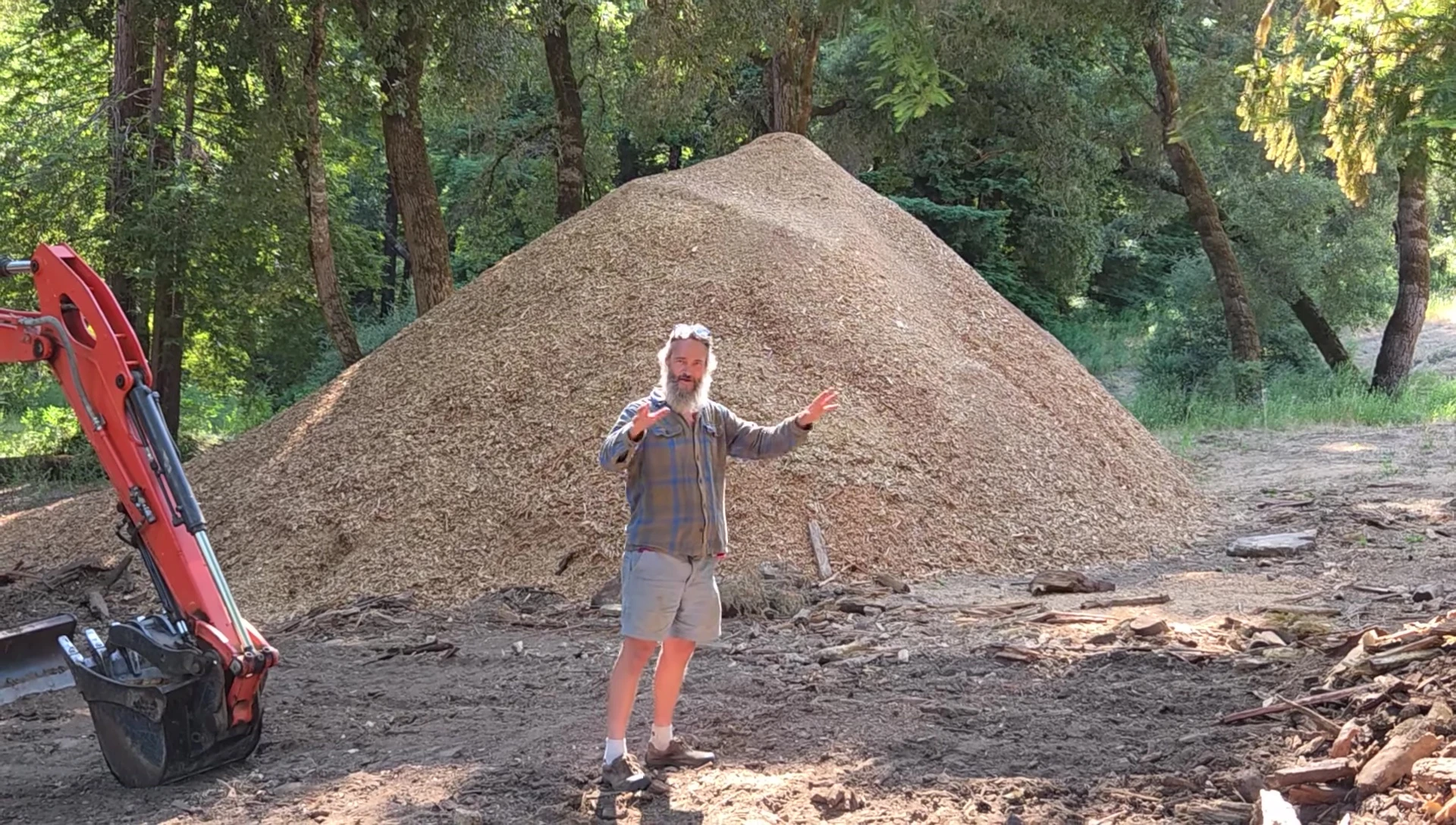 Close-up of the soil and wood chips.