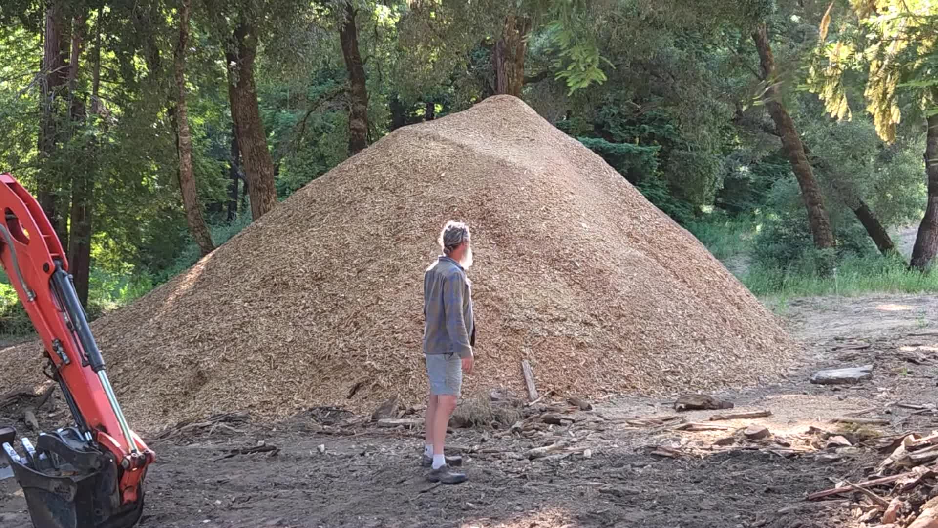 A large pile of wood chips.