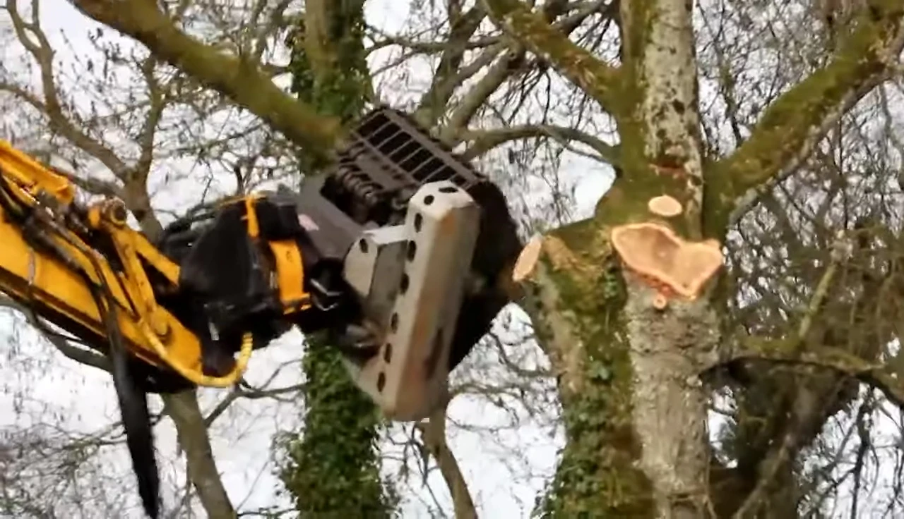 Backhoe with pruning attachment operating near a highway.