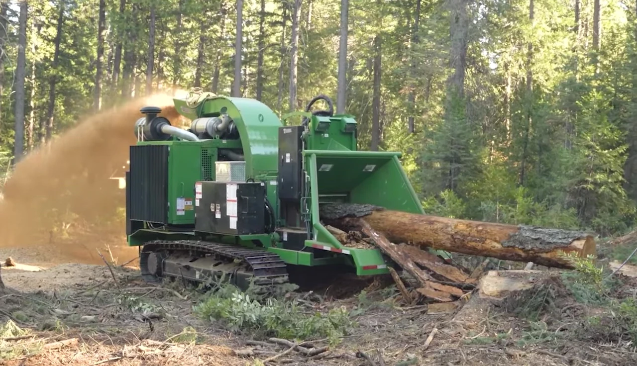 The Bandit 229 OT whole tree chipper processing a tree.