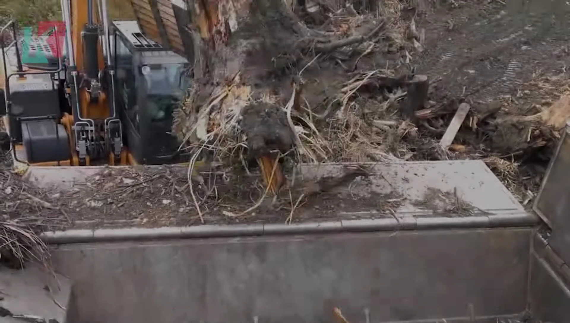 The CompTEC Cranbo 5000 track-mounted stump grinder demonstrating its size and power.
