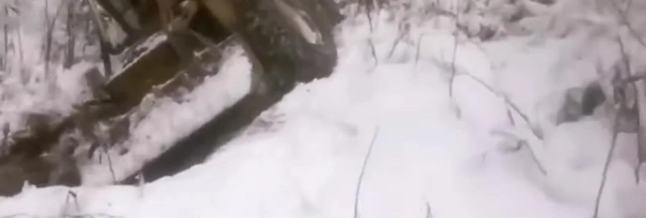 The LKT81 tractor pulling logs through deep snow.