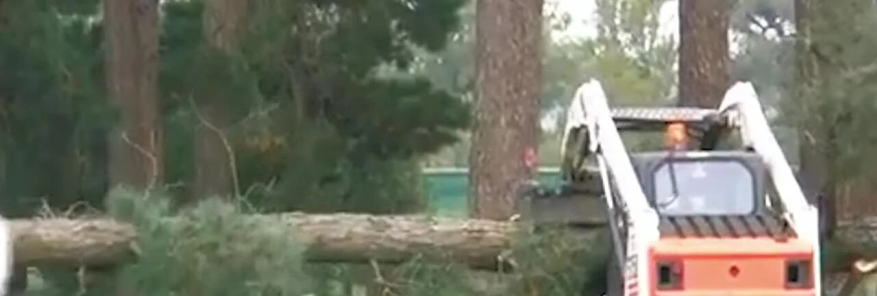The Vermeer BC2100 XL wood crusher in action.