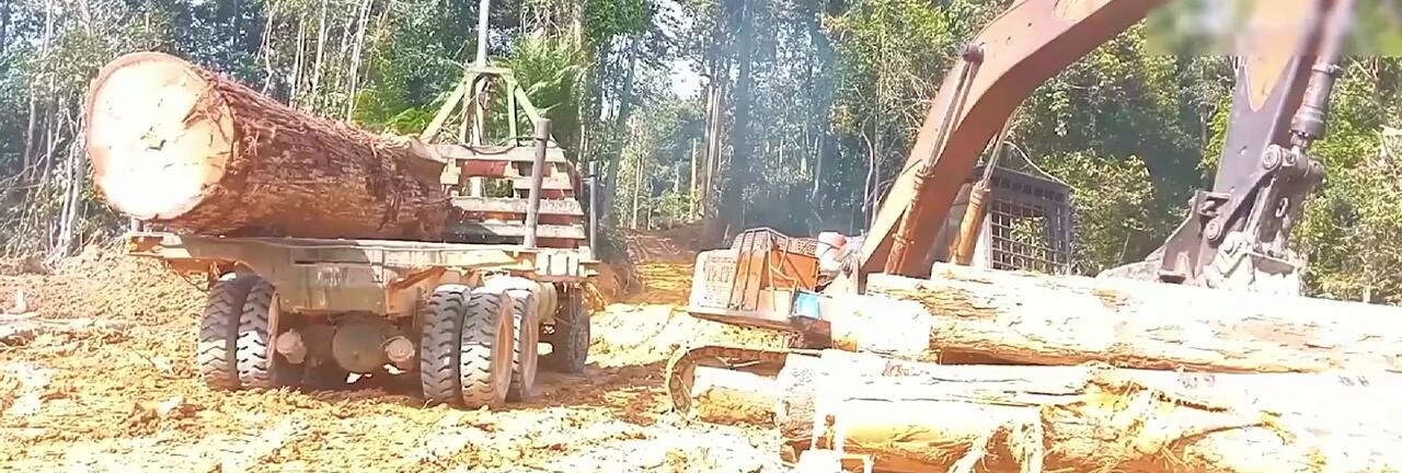 Close-up shot of the excavator's powerful arm lifting a log.