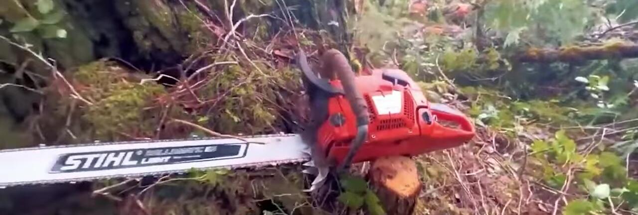 Close-up of a chainsaw with a 36-inch bar.