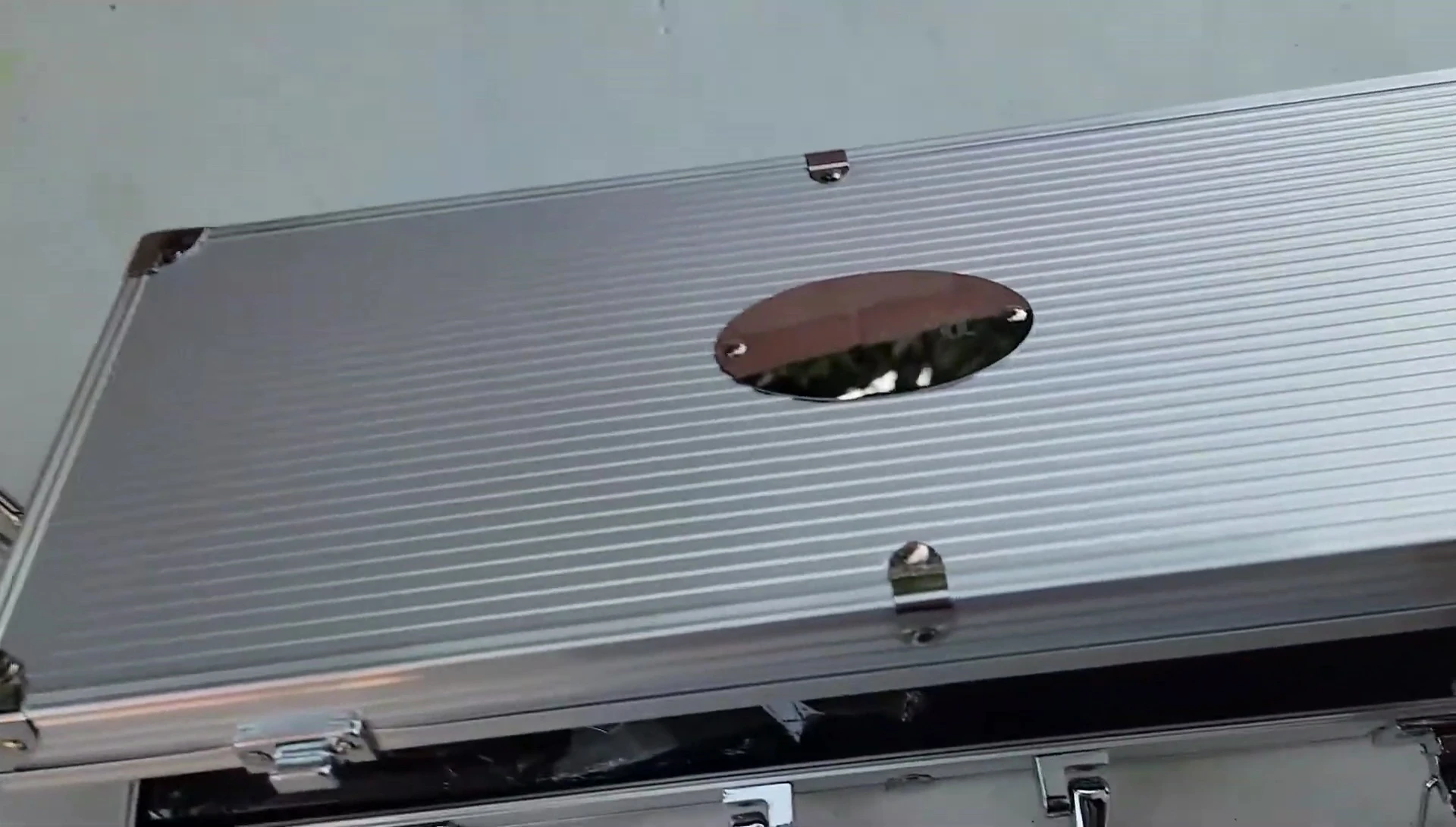 The carrying case with a handle shown.