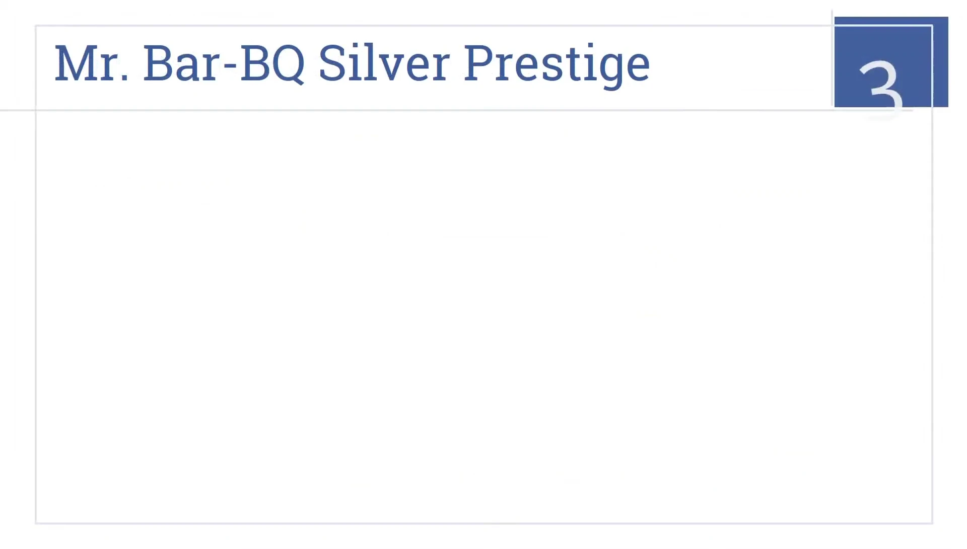 The Mr. BBQ Silver Prestige set shown with its many tools.