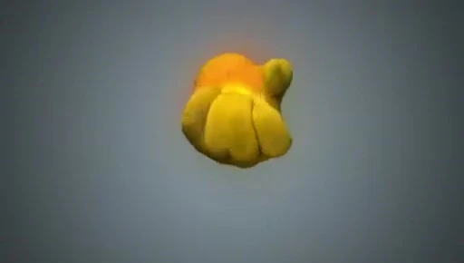 Demonstration of Kevlar's resistance to flame and heat.