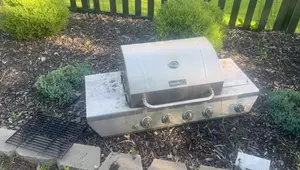 Nexgrill Propane Gas Grill Review: 4.5-Year Durability Test