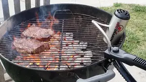 Top 5 Best Electric Charcoal Starters for Effortless Grilling