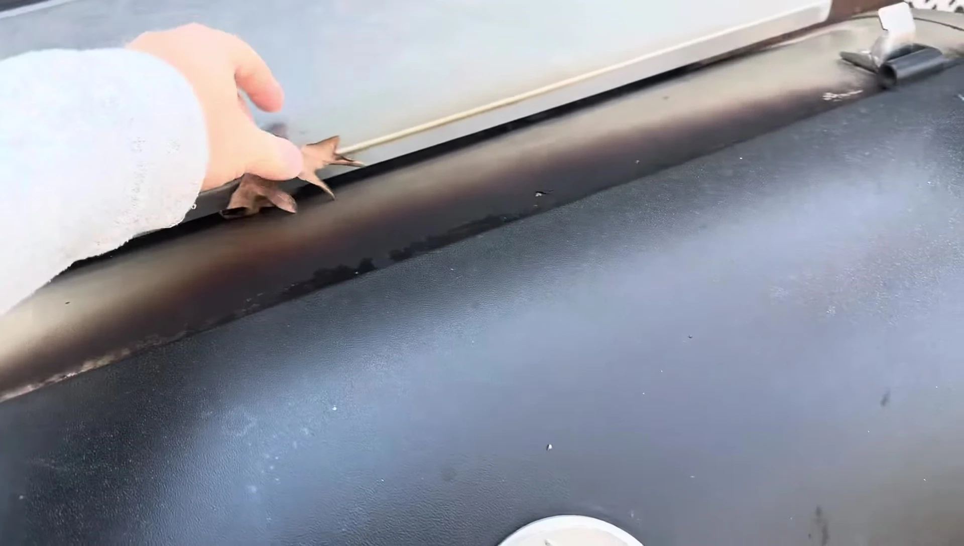 Close-up shot of the Rec Tec RT-700 grill.
