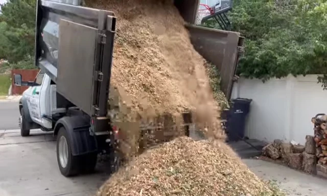 A pile of freshly delivered wood chips next to a driveway.
