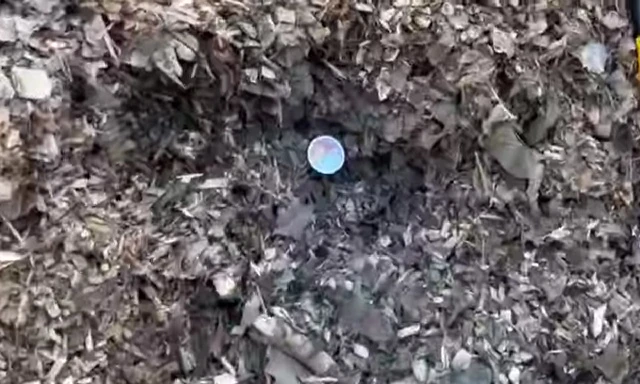 Temperature reading inside the composting pile.