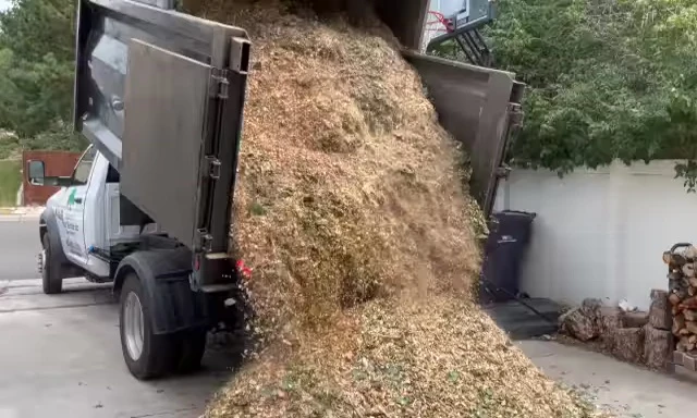 Close-up of the wood chips showing a mix of green and brown.