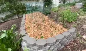Best Wood Chip Mulch for Your Garden: A Comprehensive Guide