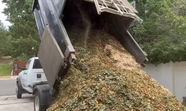 A pile of wood chips composting, showing some decomposition.