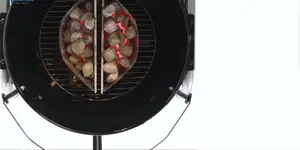 Top 5 Best Charcoal Grills 2024: A Comprehensive Review