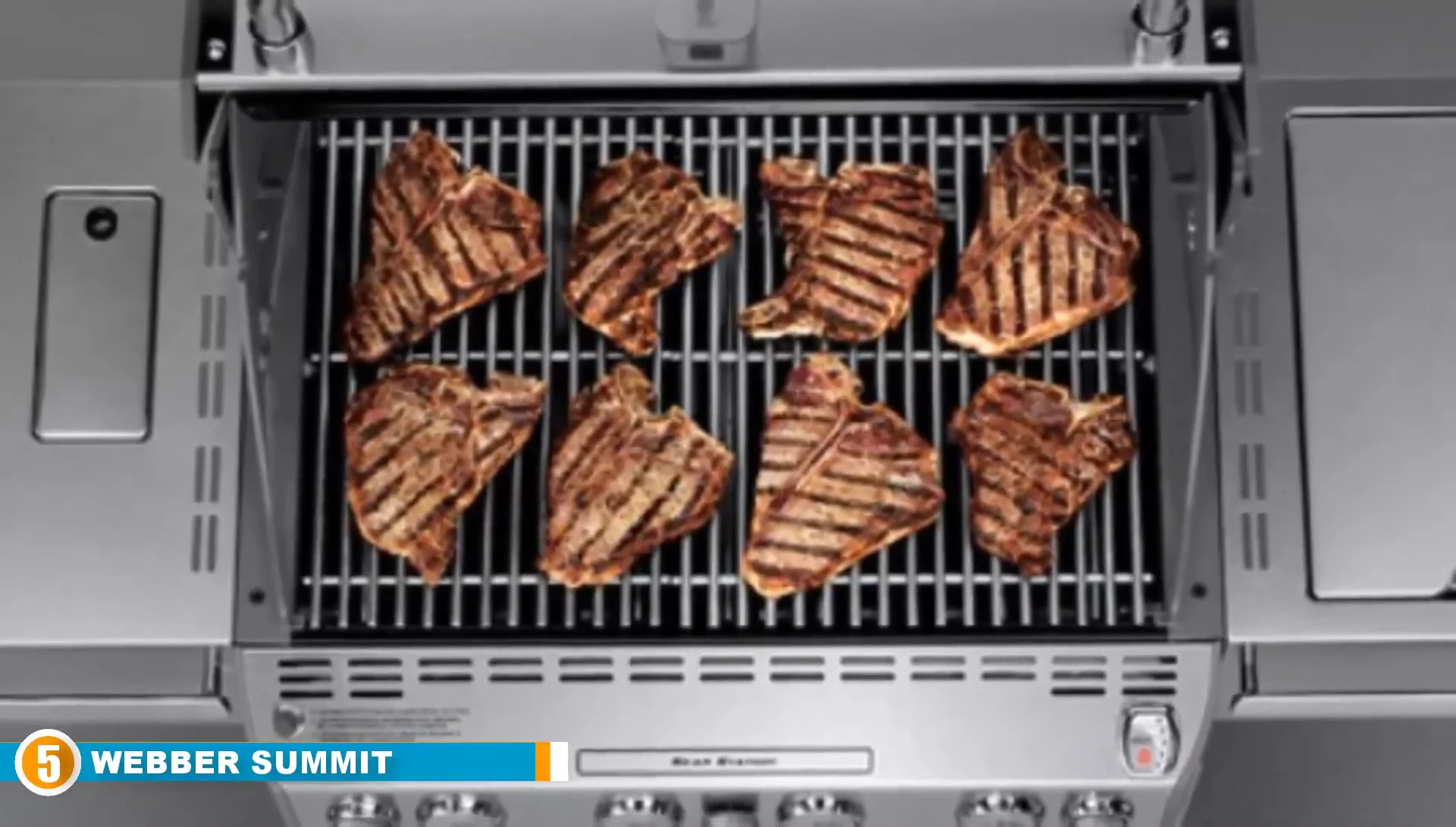 Weber Summit S-470 grill