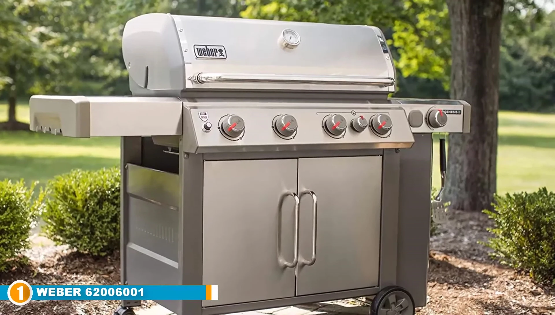 Weber Genesis II E-435 grill