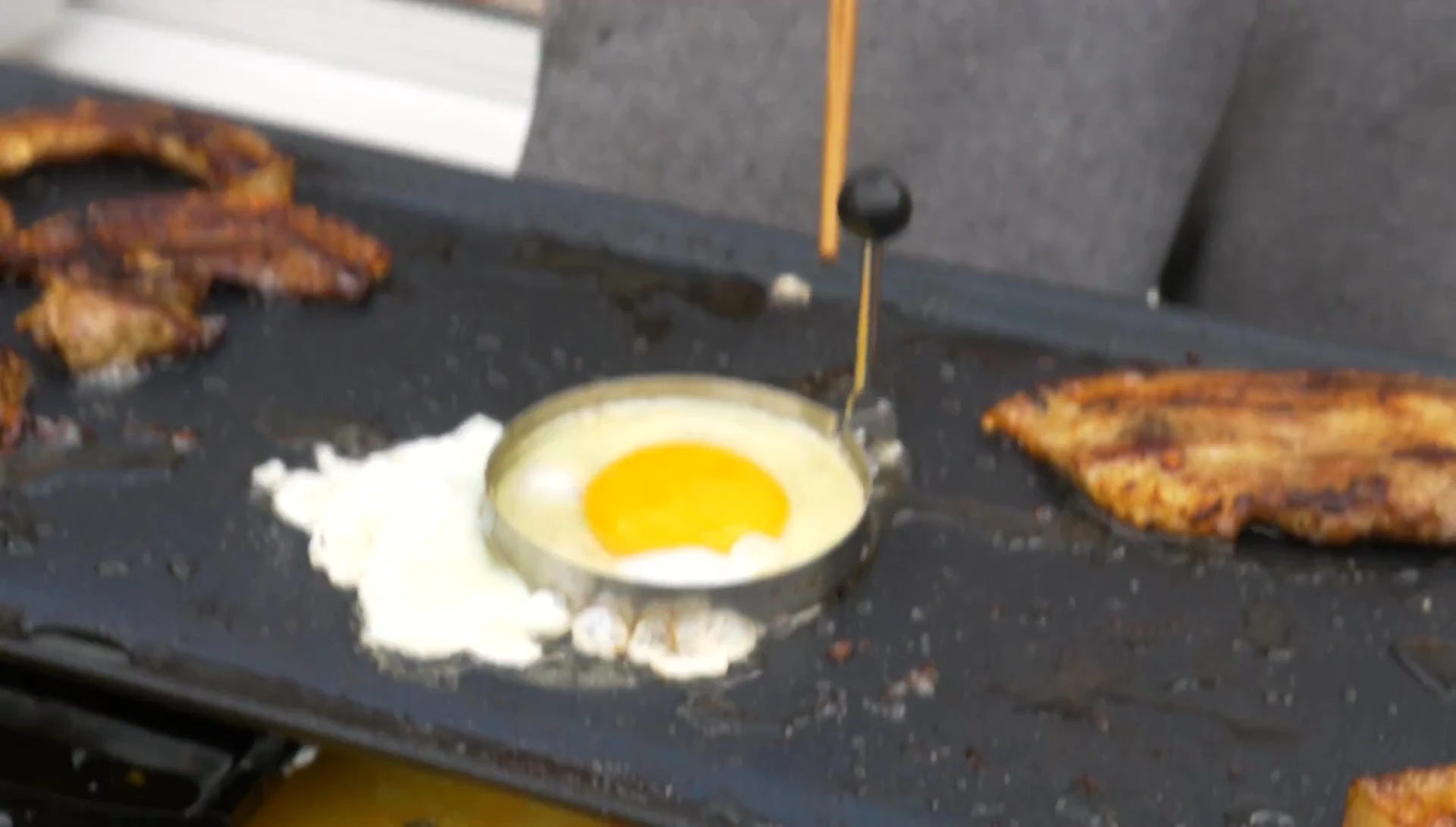 The perfectly round egg