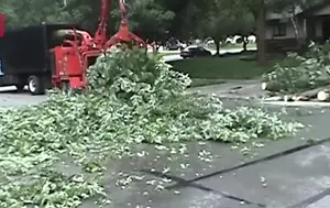 High-Speed Wood Chipping & Land Clearing Equipment Review