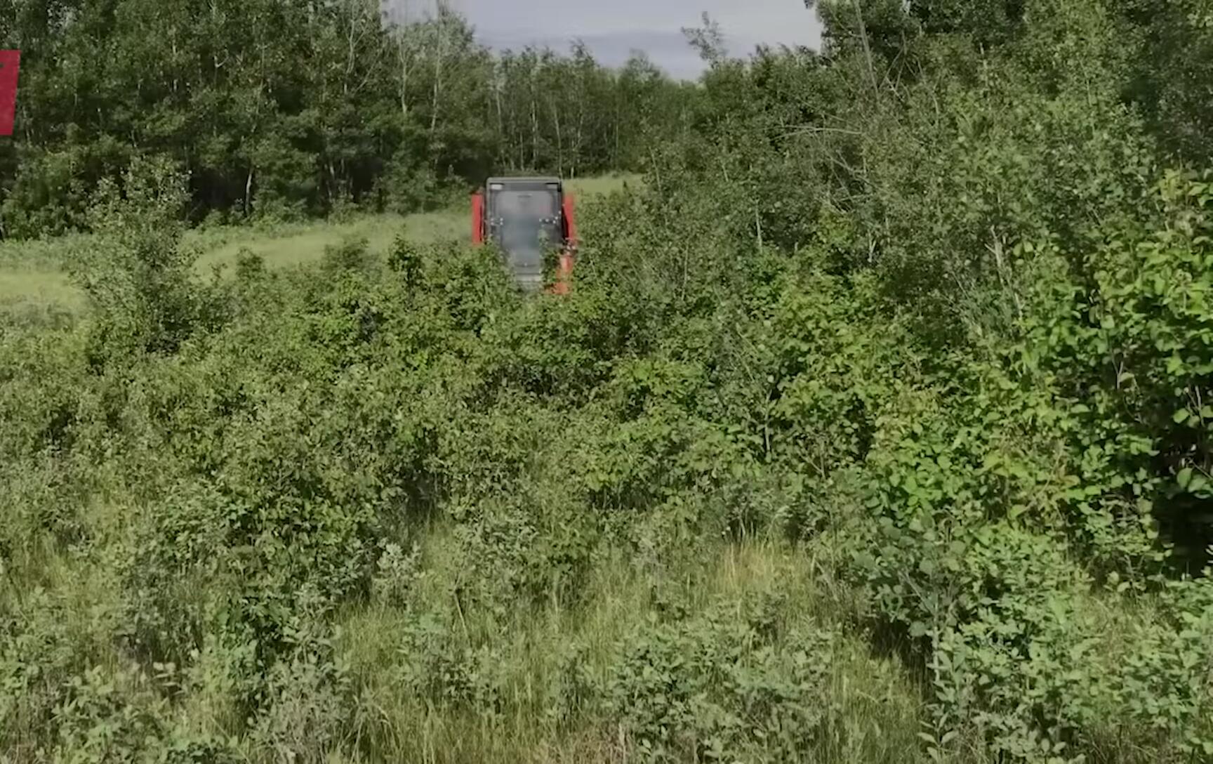 Blue Diamond brush cutter clearing a pasture.