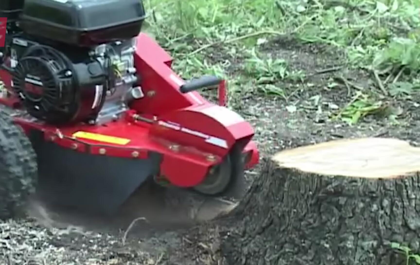 Close-up of the cutting wheel and carbide teeth.