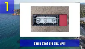 Best Camp Stove Grill Combo 2025: Top 5 Portable Grills Reviewed